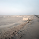 Illustration for article titled The Ruins of Dubai with Wild Animals. Hey, This Could Be a Sony Video Game.